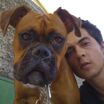 Jorge Lemos - Matosinhos - Paseador de perros