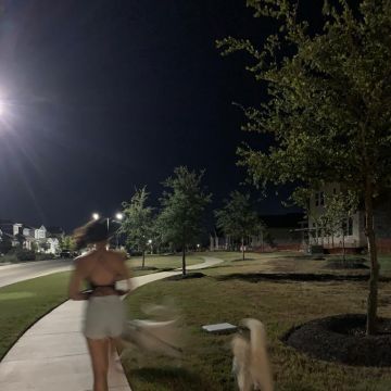 Dog walking with Amira - Odivelas - Promenade de chiens