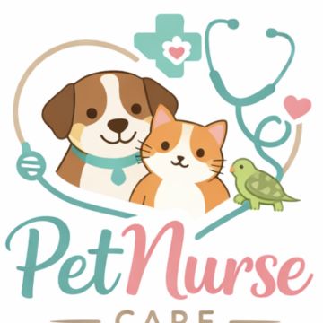 Petnurse_Care - Porto - Cuidar tus gatos