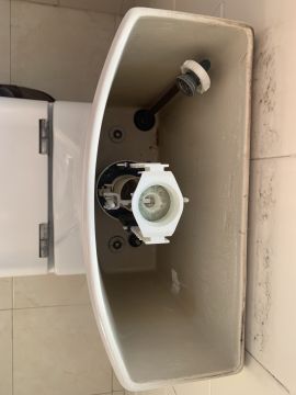Canalizador (Reparação de Sanita)