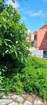 Jardinagem