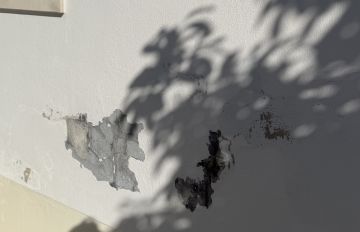 Pintor de Exterior