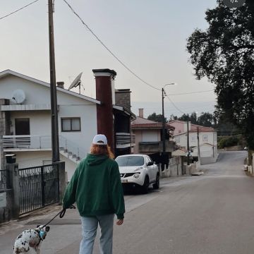 Dann - Cascais - Cat Sitting