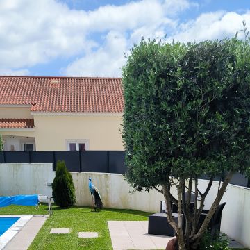 Vitor menezes Antônio - Sesimbra - Jardinagem