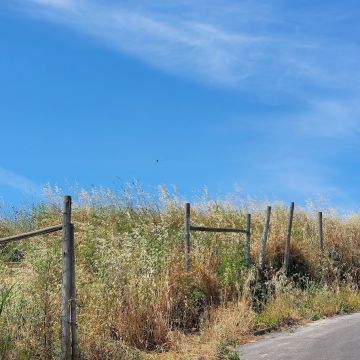 Especialista de Limpeza de Terrenos