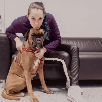 Palloma Cavalcante - Barreiro - Hundeausführung