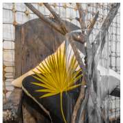 Blossom Decoração - Barcelos - Dekor