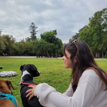 Dog walking with Amira - Odivelas - Garde et promenade d’animaux
