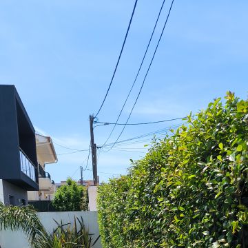 Vitor menezes Antônio - Sesimbra - Limpeza de Terrenos