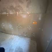 Henrique Silva - Amadora - Deep or Spring Cleaning
