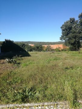Limpeza de Terrenos