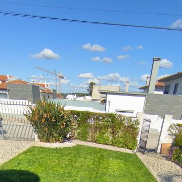 Vitor menezes Antônio - Sesimbra - Plantação de Árvores