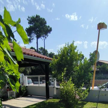 Vitor menezes Antônio - Sesimbra - Corte e Aparação de Relvado