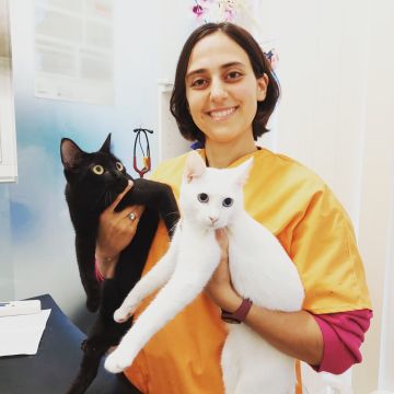 FamilyVet Veterinário Santa Clara - Coimbra - Cuidados para Animais de Estimação