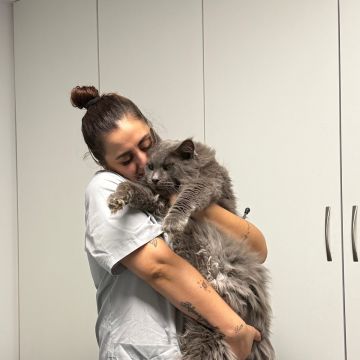Petnurse_Care - Porto - Cuidar tus mascotas