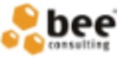 Bee Consulting, Lda. - Porto - Profissionais Financeiros e de Planeamento