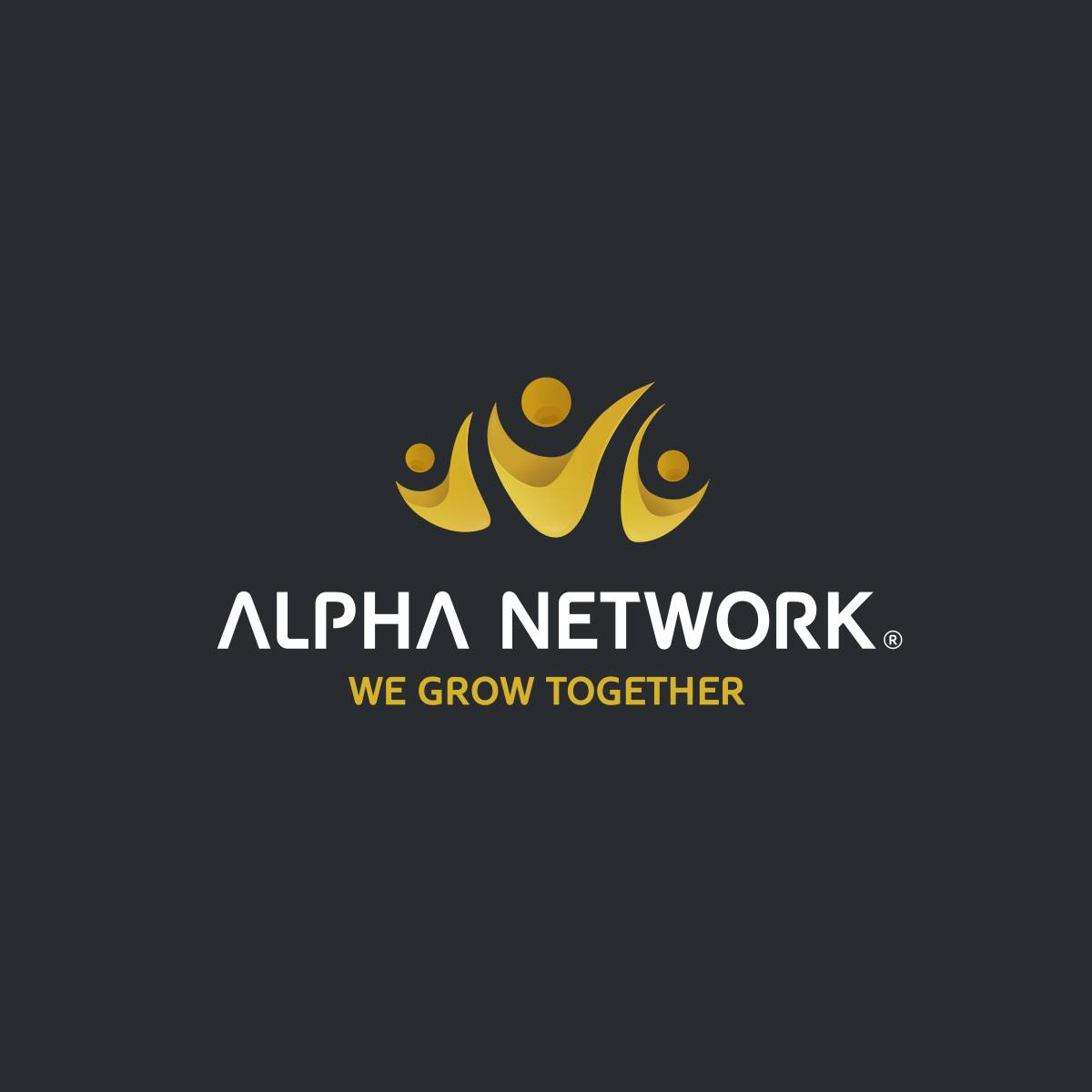 Alpha Network Group - Braga - Logodesign