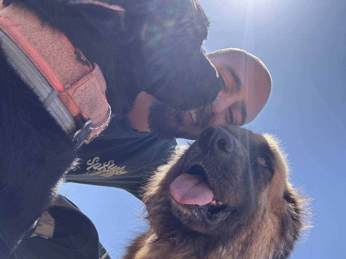 Dog walking e dog trainer - Nazaré - Dog Walking