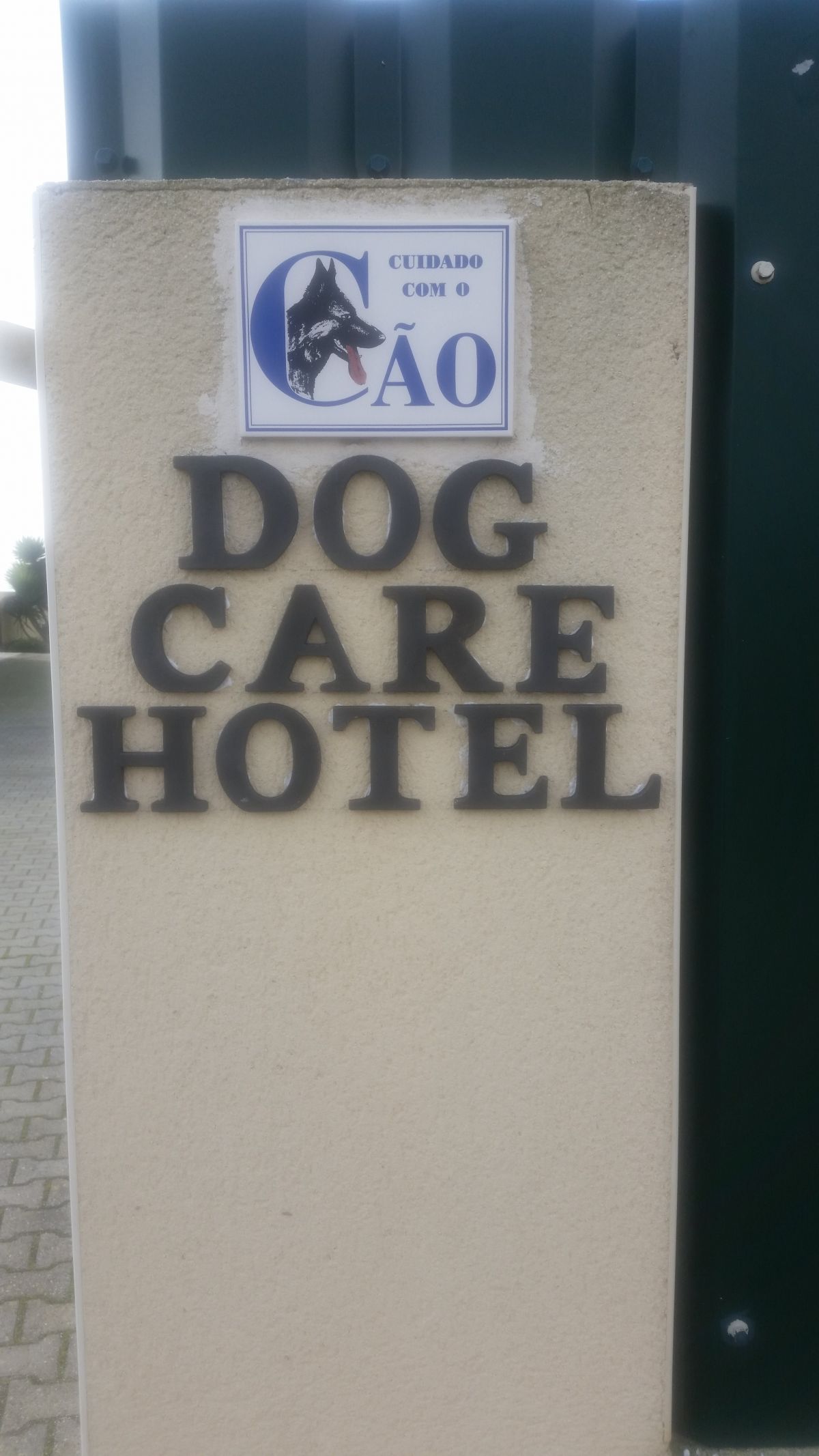 Dog's care Hotel - Peniche - Cat Sitting