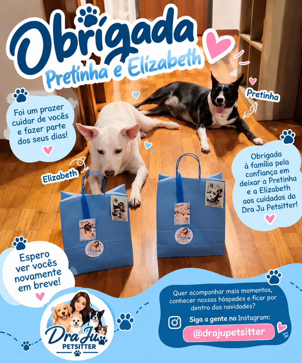 Dra Ju Petsitter - Braga - Hundepension