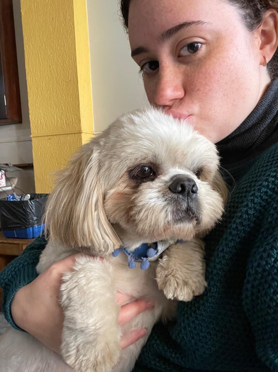 Vitoria Viegas - Lisboa - Banhos e Tosquias para Animais
