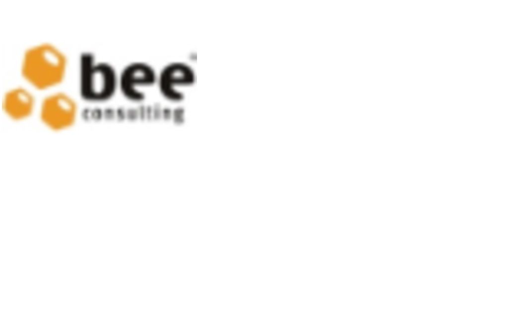Bee Consulting, Lda. - Porto - Business Consulting