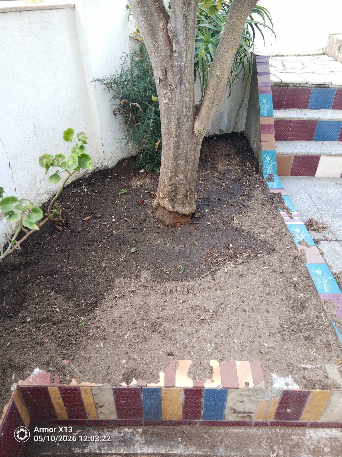 Limpa Comigo - Loures - Limpa-neves (Residencial)