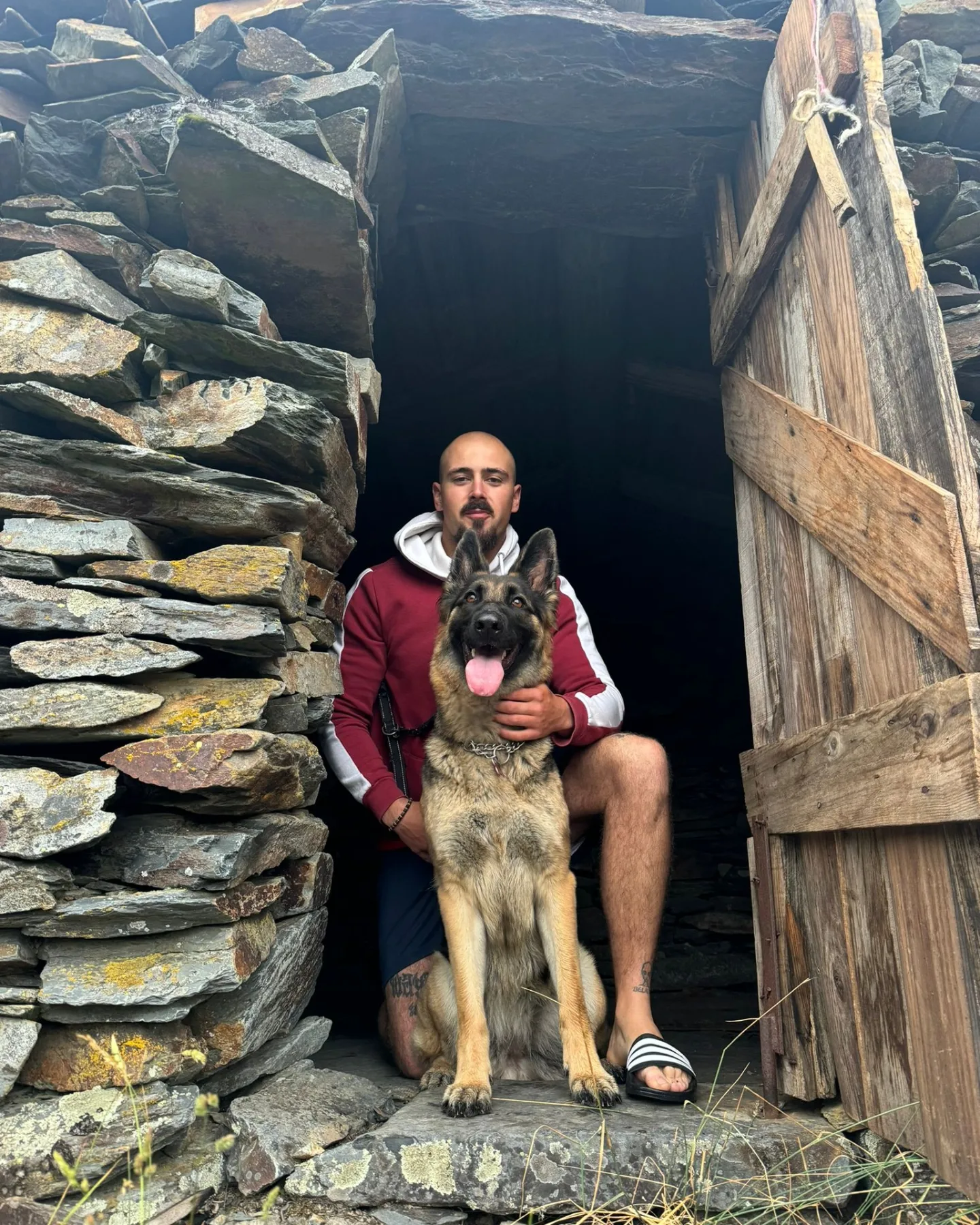 Dog walking e dog trainer - Nazaré - Cat Sitting