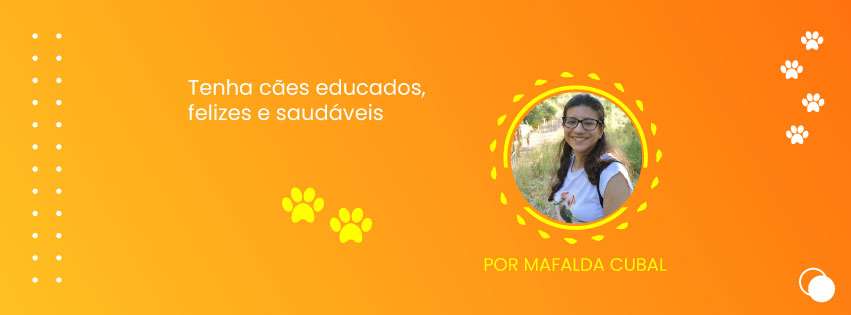 Mafalda Cubal - Bragança - Treino de Cães - Aulas