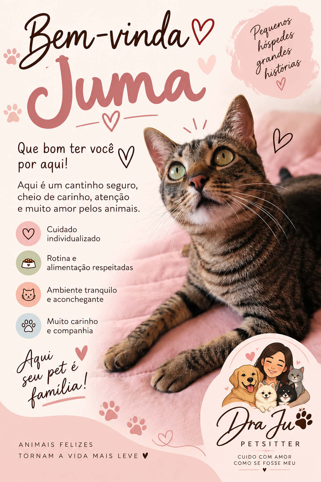 Dra Ju Petsitter - Braga - Hundeausführung