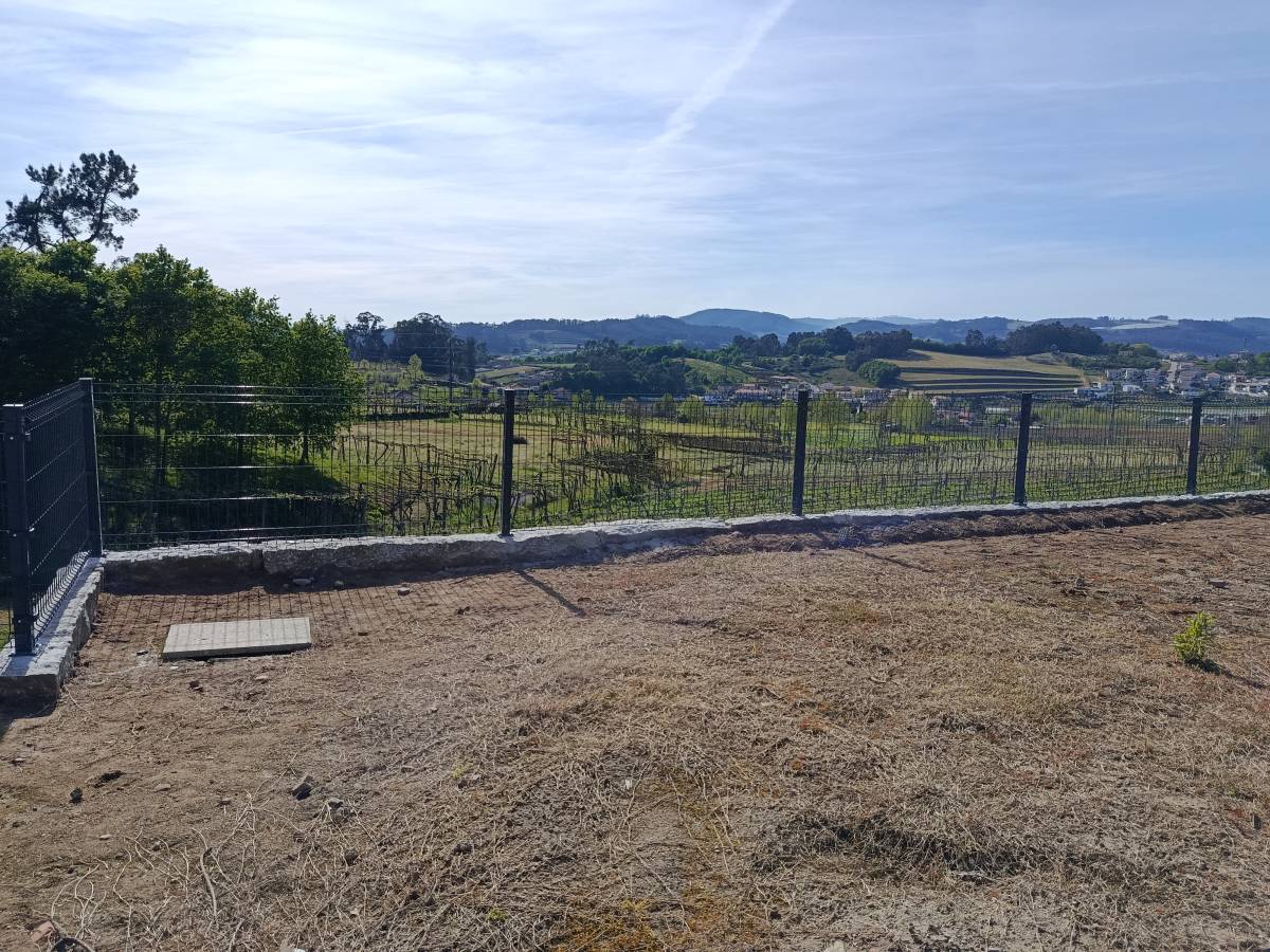 Brunoserviços - Amarante - Shrub Removal