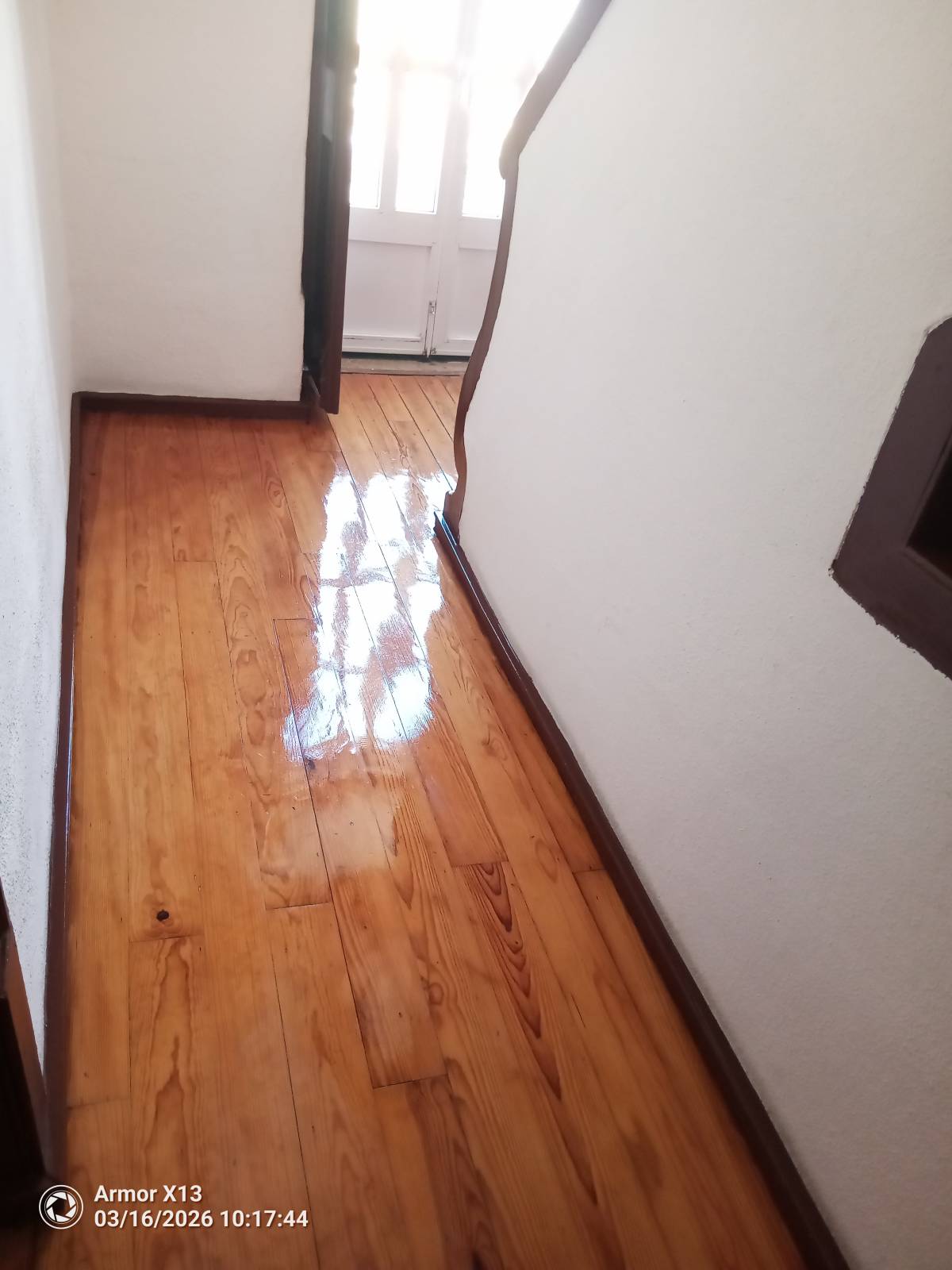 Limpa Comigo - Loures - Remoção de Tronco de Árvore