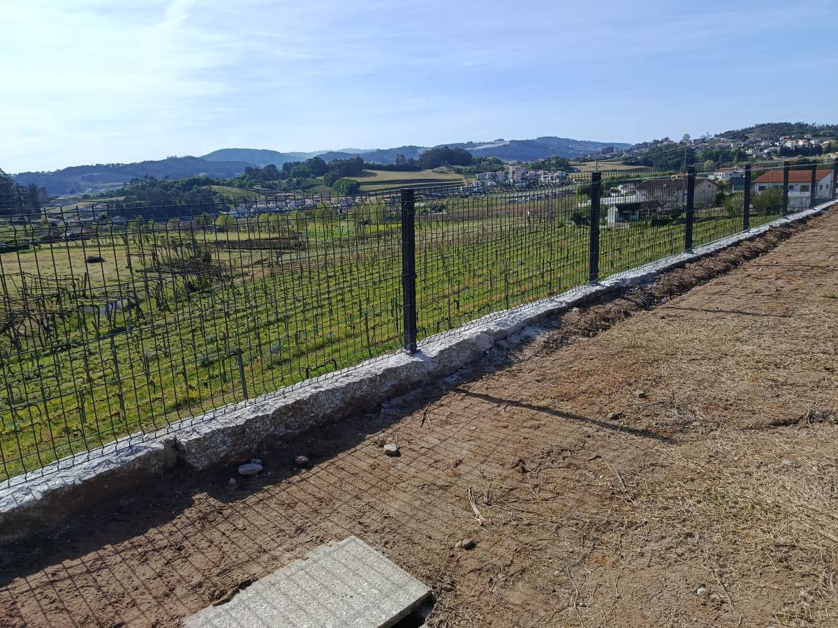 Brunoserviços - Amarante - Tree Stump Grinding and Removal