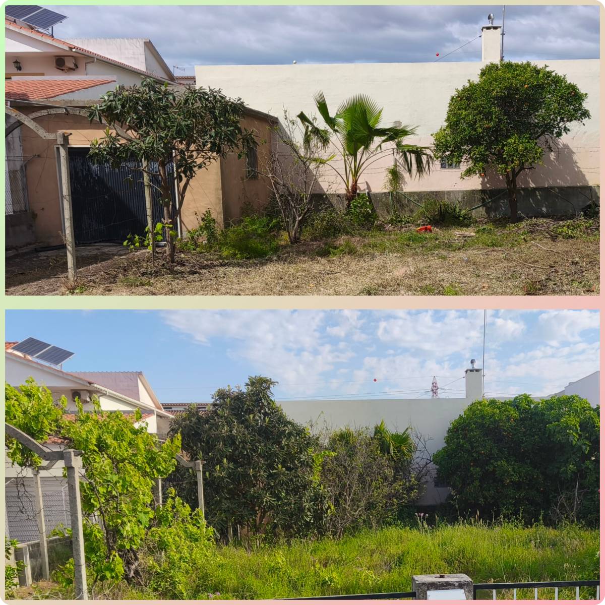 ABCanalizador - Seixal - Baumpflege