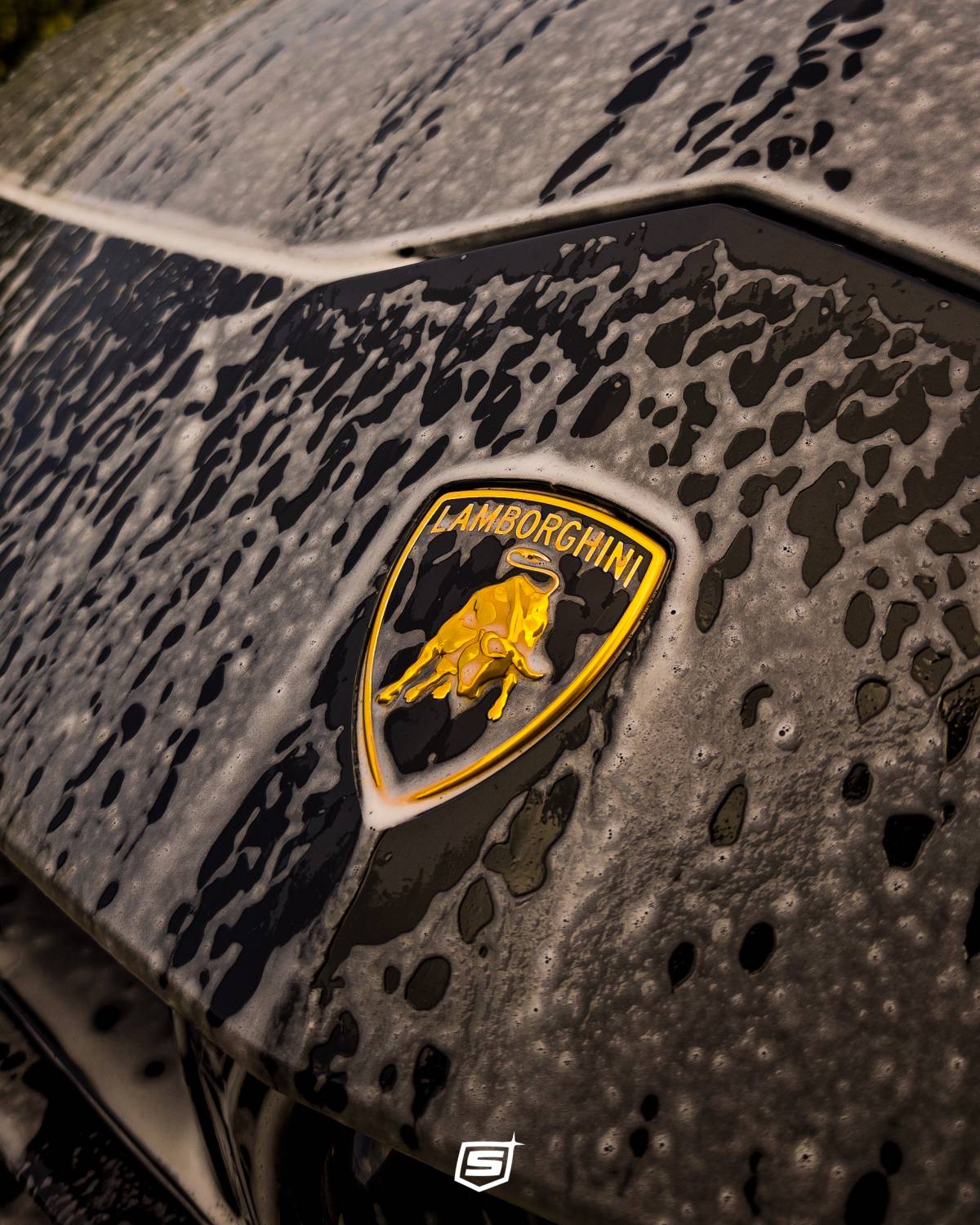 Spotless Car Care - Cascais - Coches
