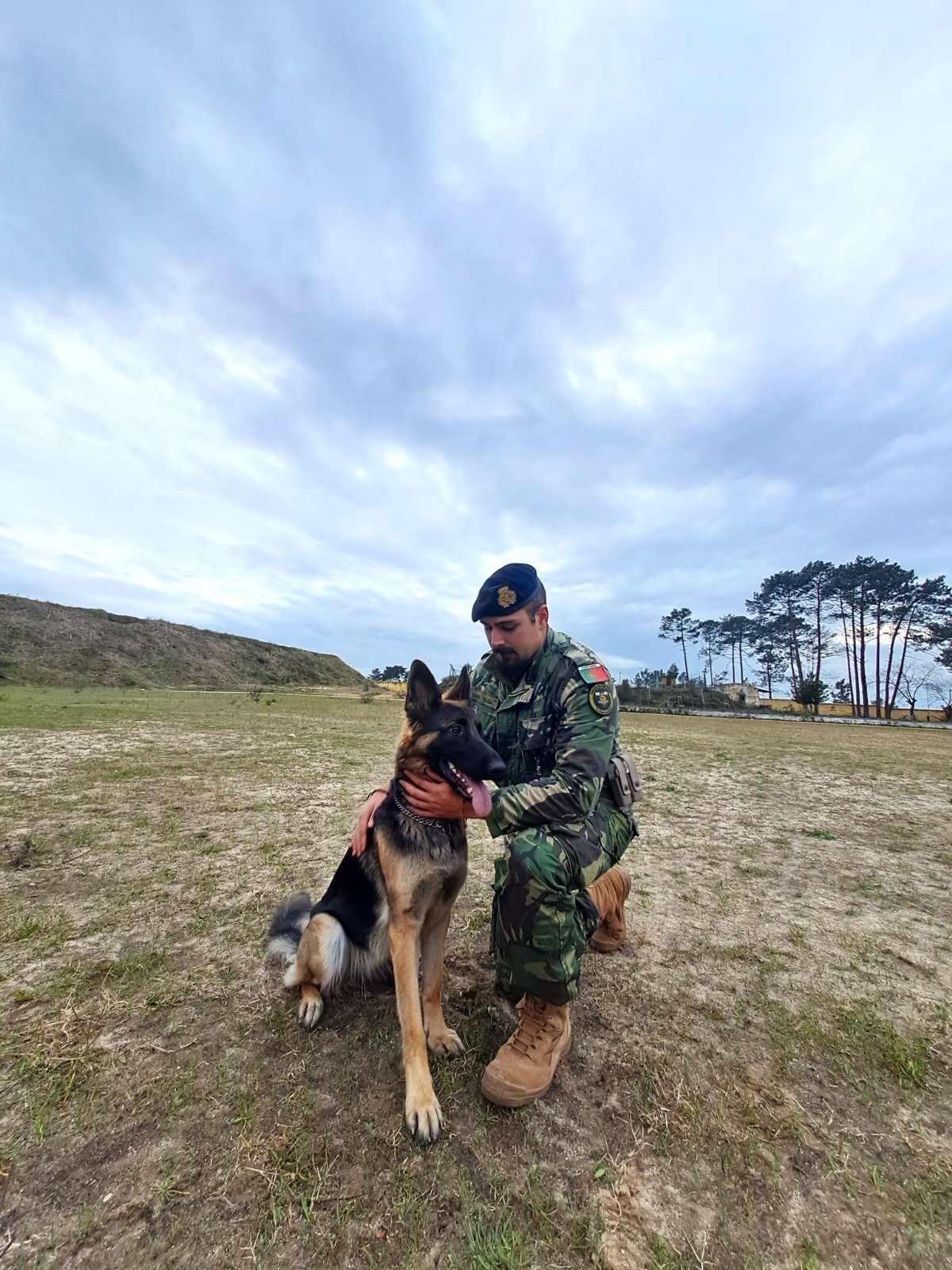 Dog walking e dog trainer - Nazaré - Dog Training - Private Lessons