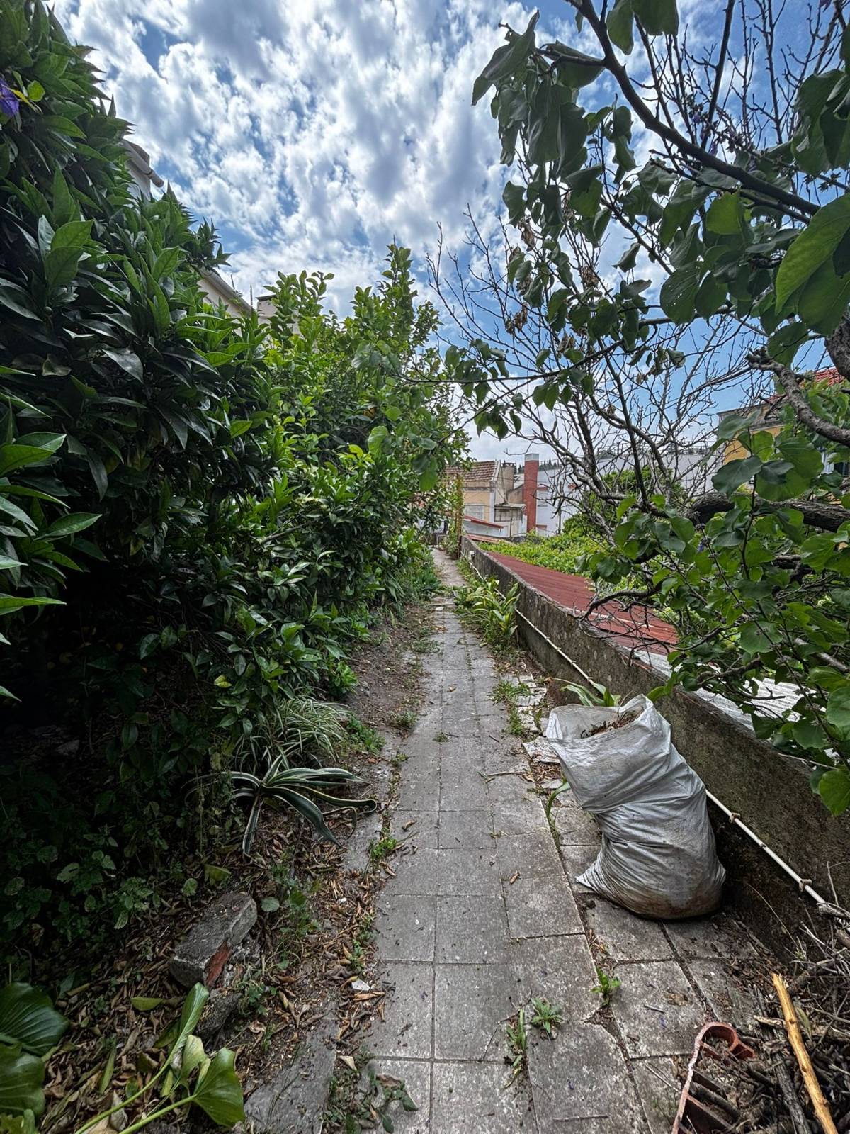 Limpa Comigo - Loures - Explicações de Biologia