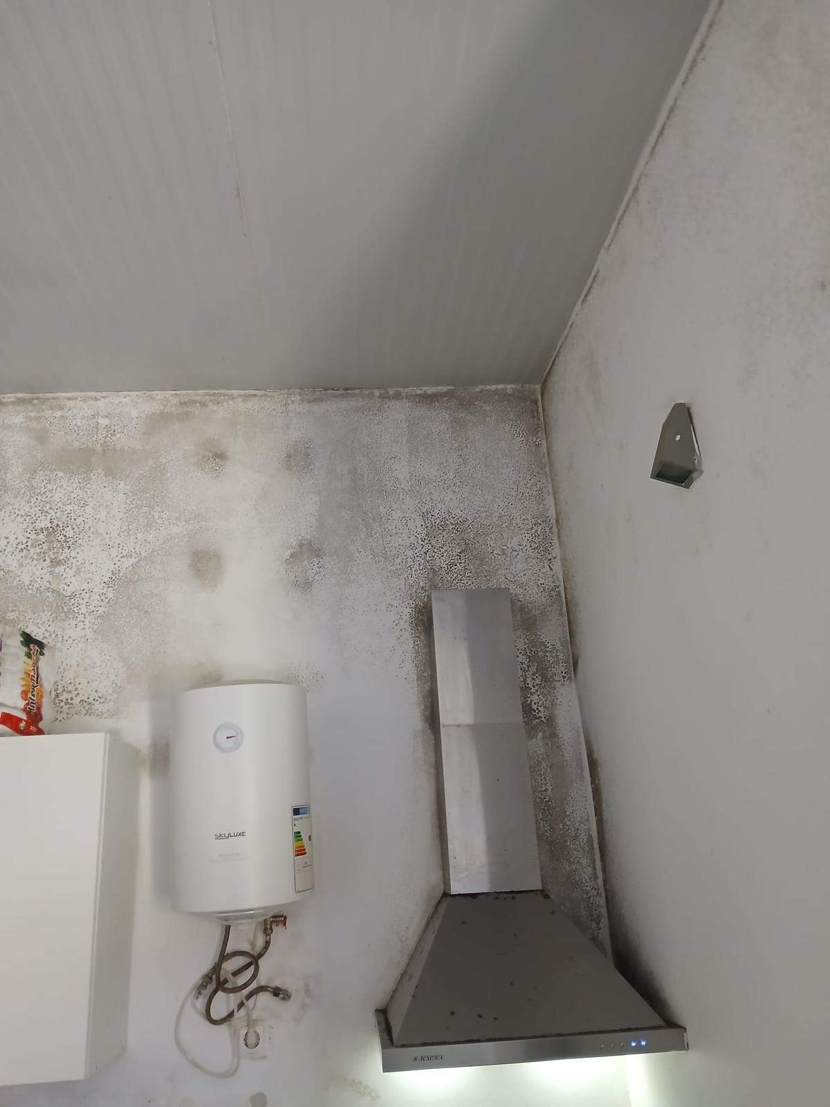 Limpa Comigo - Loures - Tratamento de Relvado