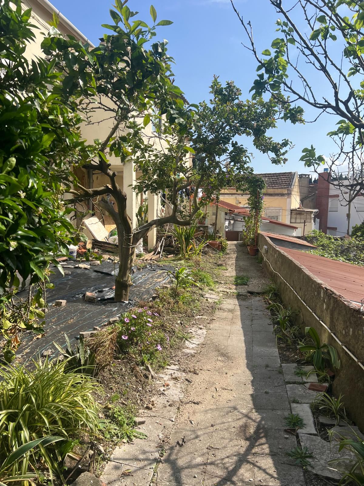 Limpa Comigo - Loures - Reparação de Fotocopiadora