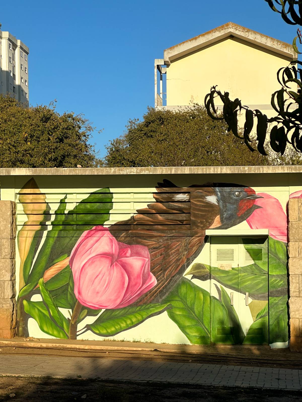 Afonsoul - Lisboa - Silkscreening Lessons