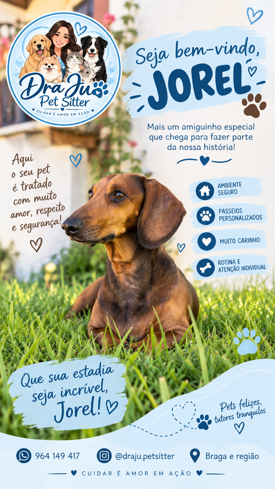 Dra Ju Petsitter - Braga - Katzensitter