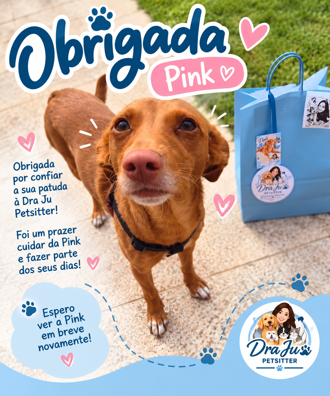 Dra Ju Petsitter - Braga - Hundesitter