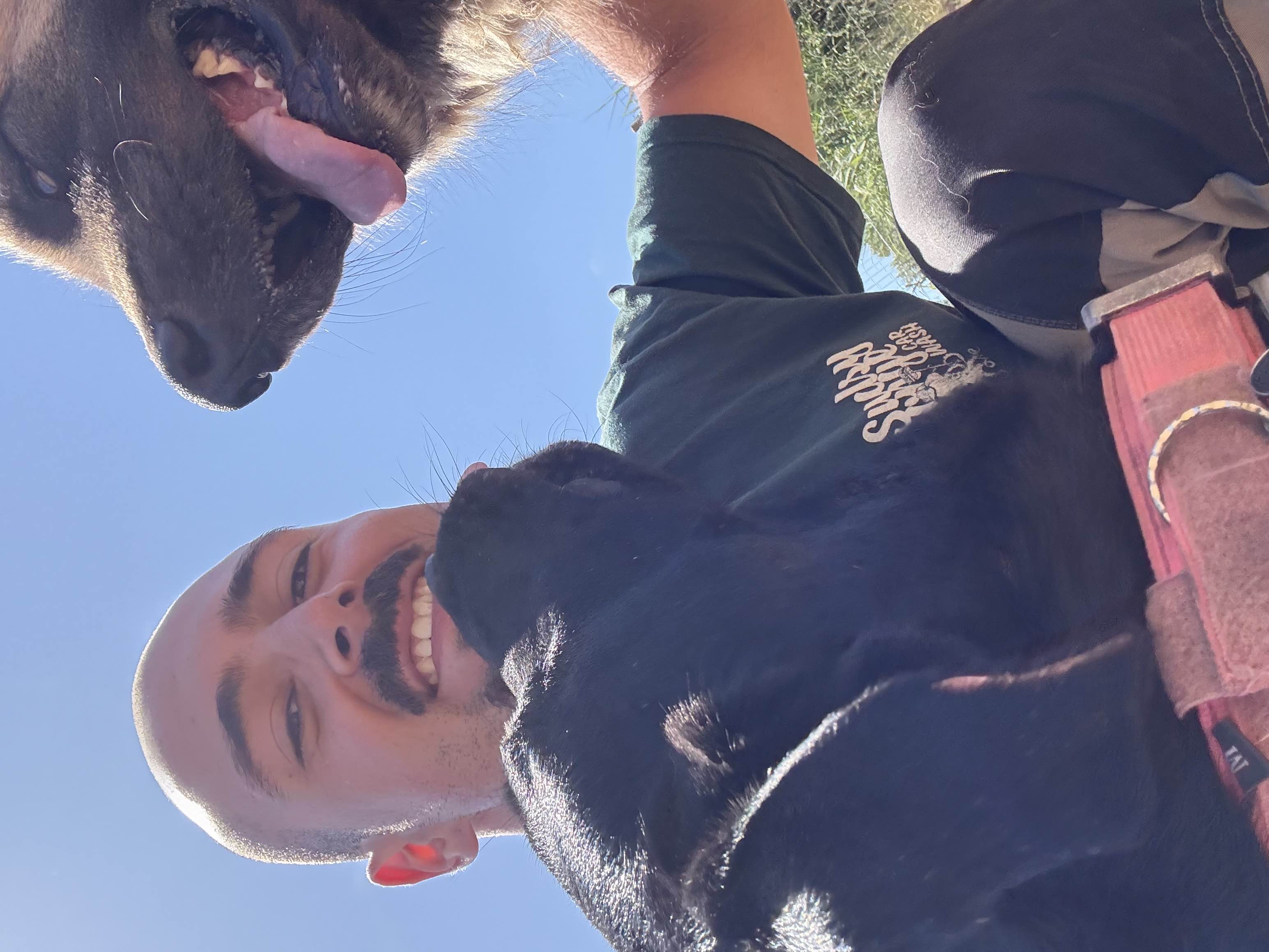 Dog walking e dog trainer - Nazaré - Dog Sitting