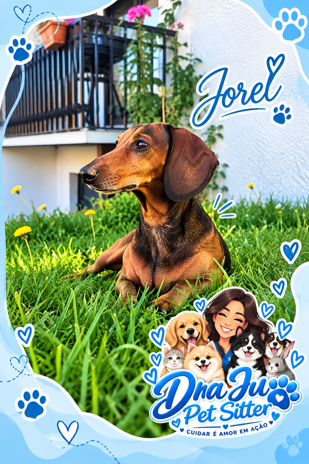 Dra Ju Petsitter - Braga - Hundepension
