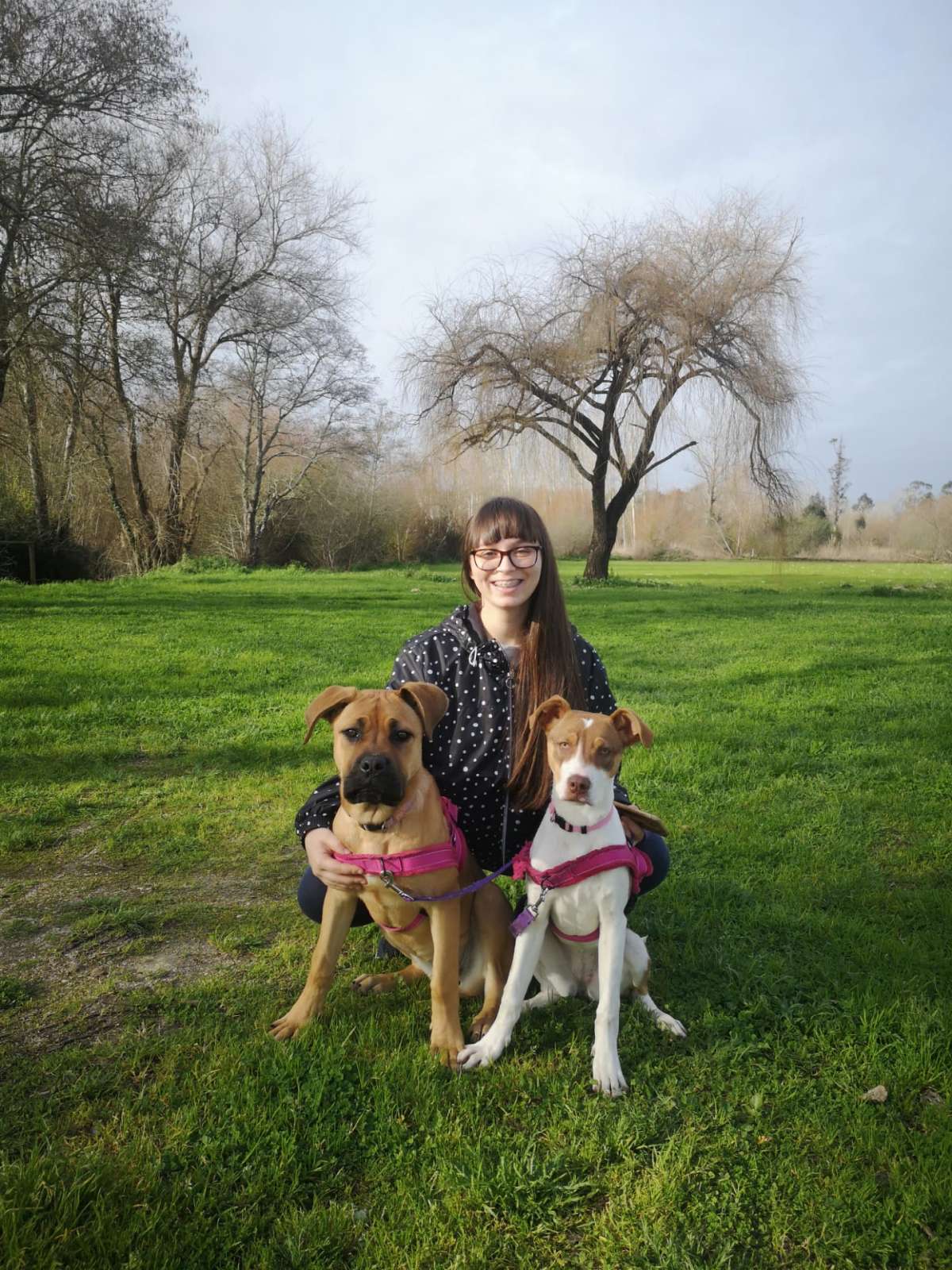 Jacinta Simões - Vagos - Dog Daycare