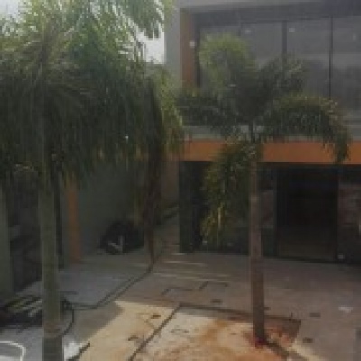 OLEAGARDEN, CONST INTERIORES E EXTERIORES, LDA(Patrícia Ruivo de Oliveira) - Lagos - Remoção de Arbustos