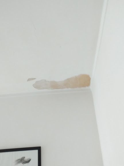 Painting Company - Caldas da Rainha - Paredes, Pladur e Escadas