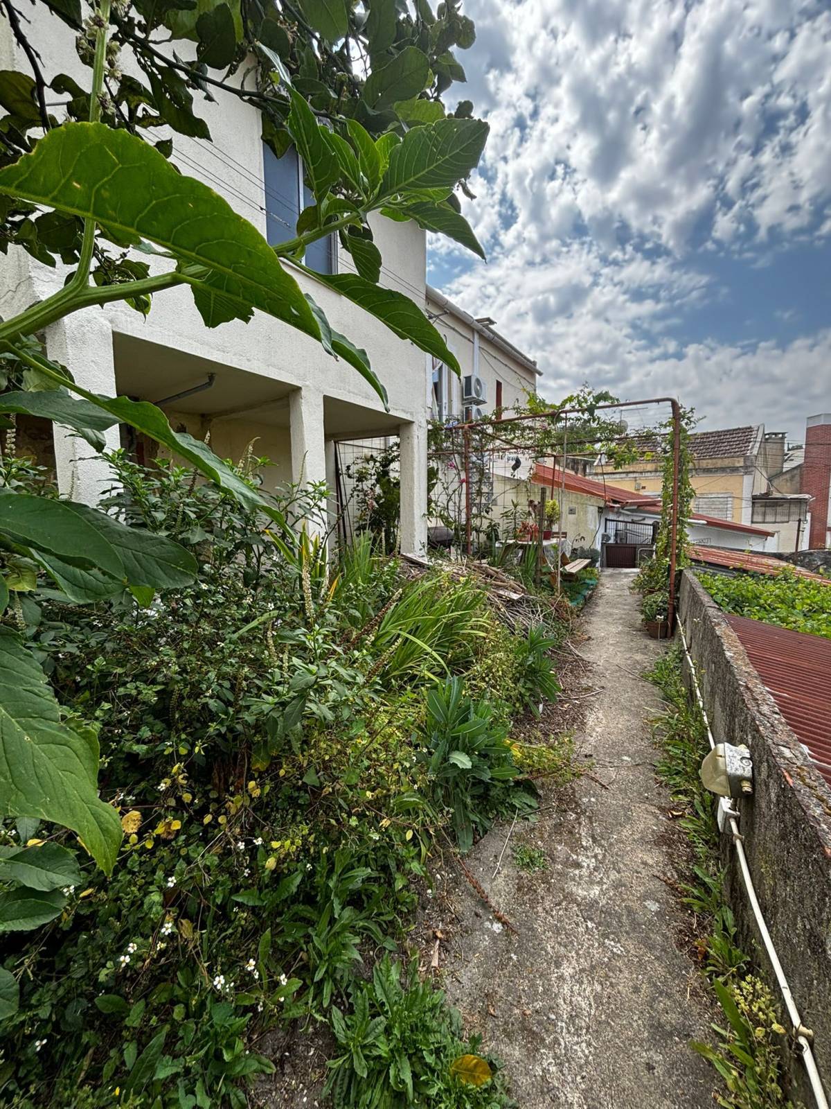 Limpa Comigo - Loures - Limpeza de Janelas