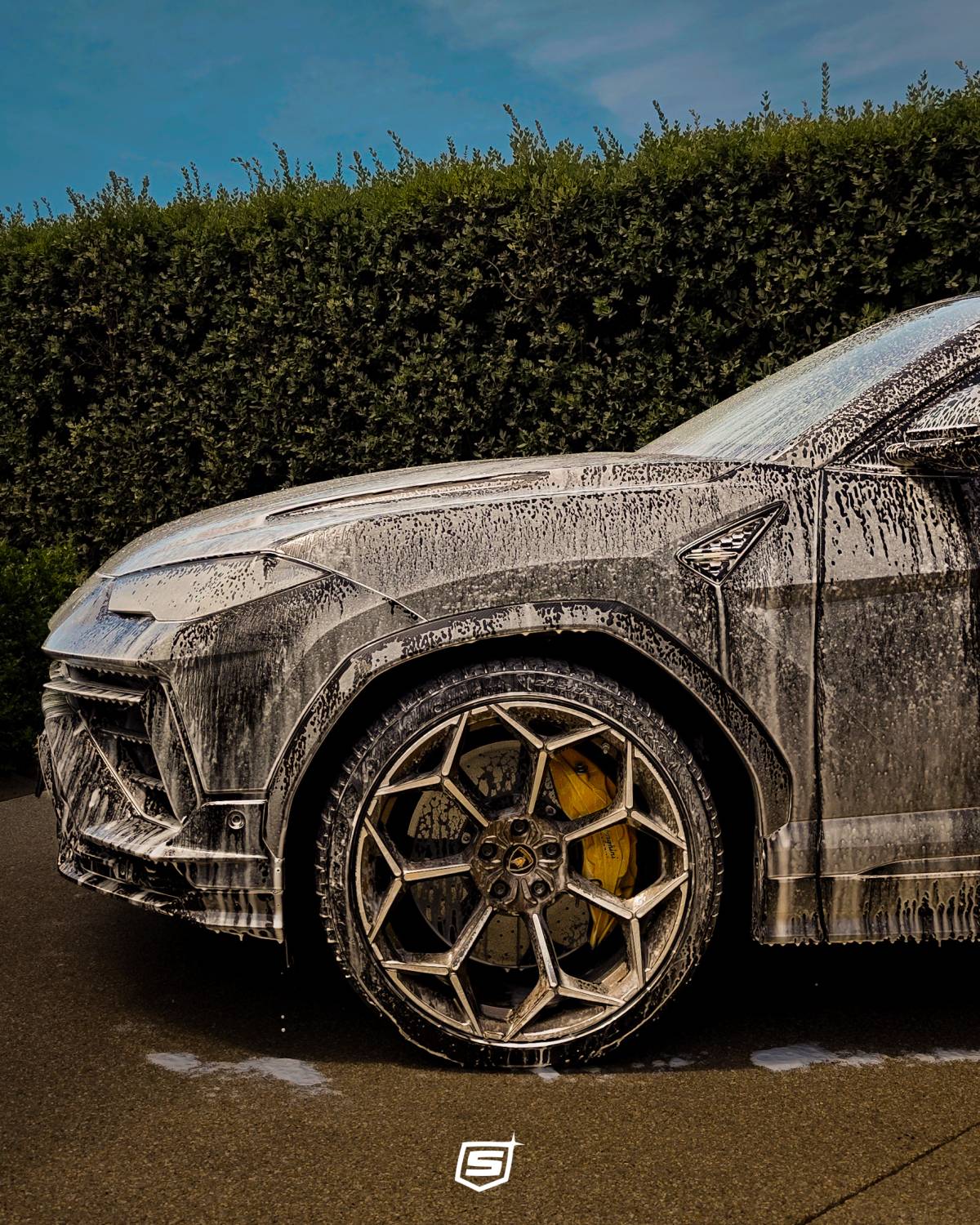 Spotless Car Care - Cascais - Coches