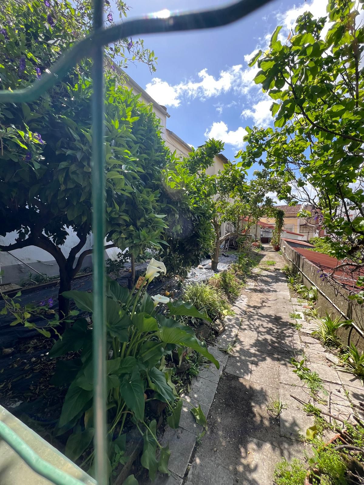 Limpa Comigo - Loures - Limpeza Após Mudanças